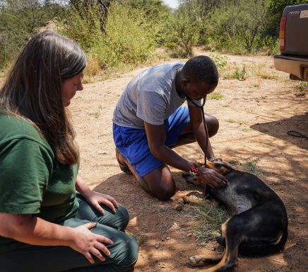 Learning to use a Stethoscope