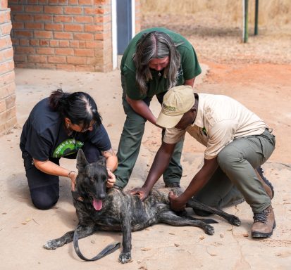 Pulse Calculations - Imire, Zimbabwe