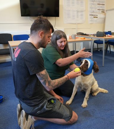 Orkney Native Wildlife Project