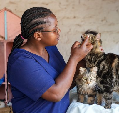 Friends Animal Foundation